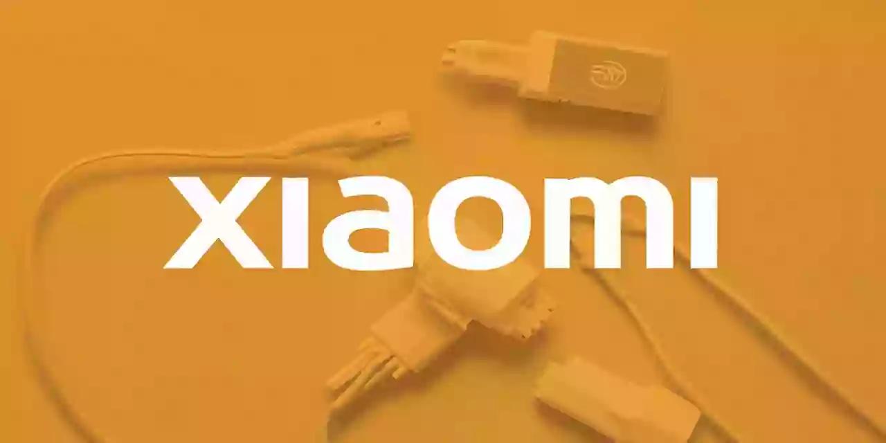 Xiaomi Şarj Adaptörü