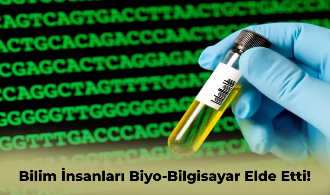 Beyin hücresi kullanılarak biyo-bilgisayar