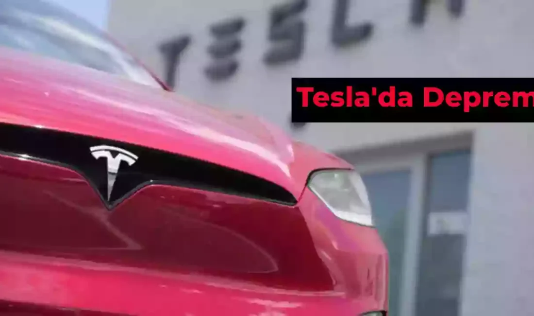 Tesla araba satış oranı