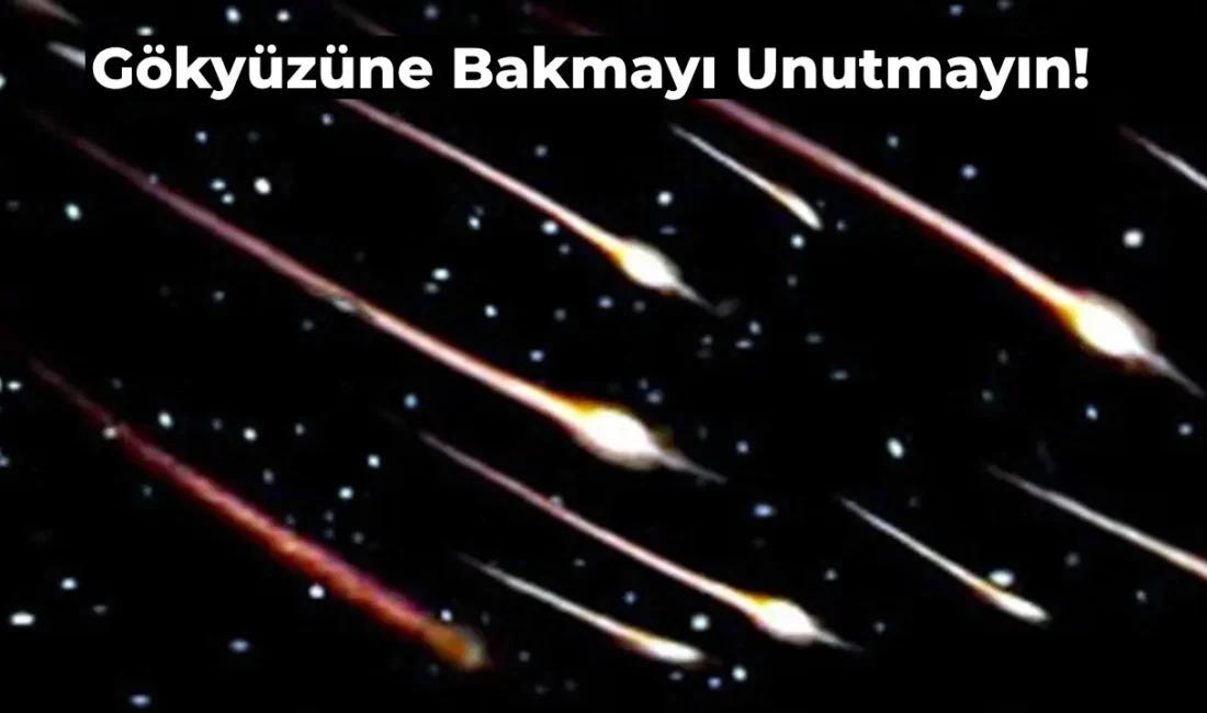 Perseid göktaşı yağmuru ne