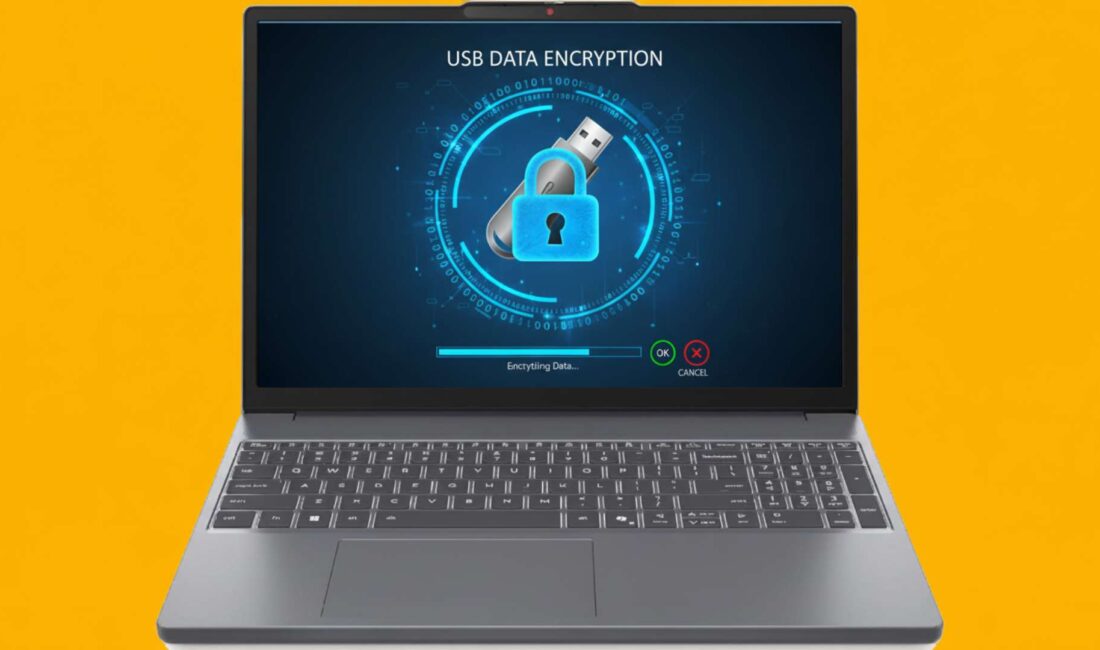 USB bellek şifreleme işlemi nasıl yapılır? Flash belleklerinizi gizli tutmanız